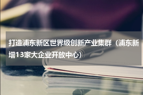 打造浦东新区世界级创新产业集群（浦东新增13家大企业开放中心）