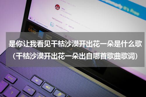 是你让我看见干枯沙漠开出花一朵是什么歌（干枯沙漠开出花一朵出自哪首歌曲歌词）
