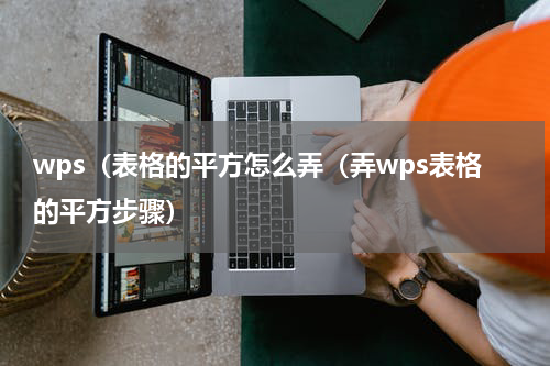 wps（表格的平方怎么弄（弄wps表格的平方步骤）