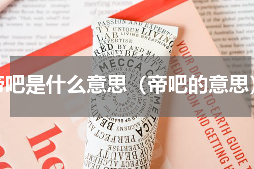 帝吧是什么意思（帝吧的意思）