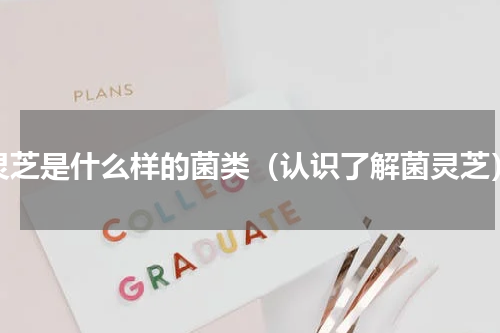 灵芝是什么样的菌类（认识了解菌灵芝）