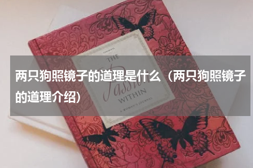 两只狗照镜子的道理是什么（两只狗照镜子的道理介绍）