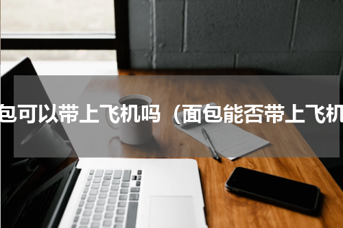 面包可以带上飞机吗（面包能否带上飞机）