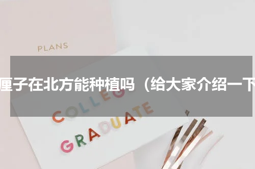 车厘子在北方能种植吗（给大家介绍一下）
