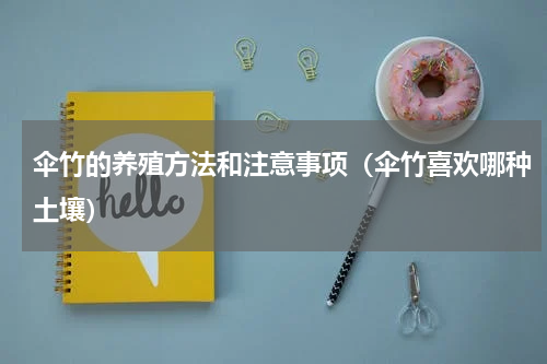 伞竹的养殖方法和注意事项（伞竹喜欢哪种土壤）