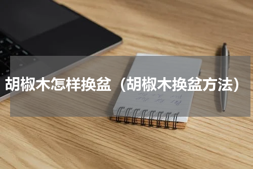 胡椒木怎样换盆（胡椒木换盆方法）