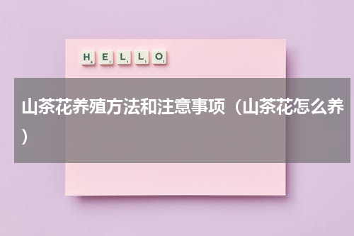 山茶花养殖方法和注意事项（山茶花怎么养）