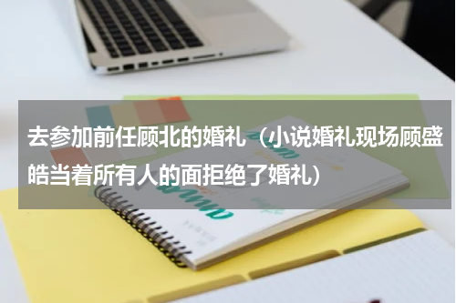 去参加前任顾北的婚礼（小说婚礼现场顾盛皓当着所有人的面拒绝了婚礼）
