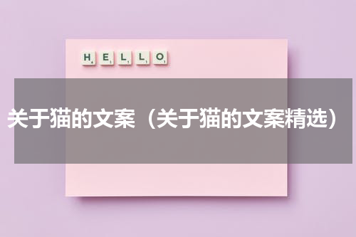 关于猫的文案（关于猫的文案精选）
