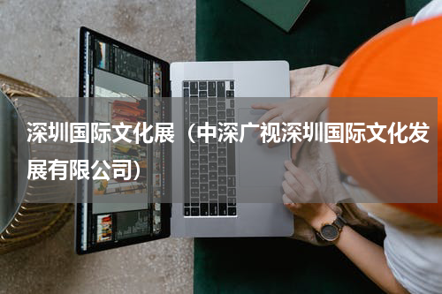 深圳国际文化展（中深广视深圳国际文化发展有限公司）