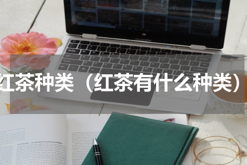 红茶种类（红茶有什么种类）