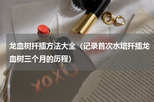 龙血树扦插方法大全（记录首次水培扦插龙血树三个月的历程）