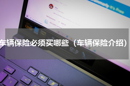 车辆保险必须买哪些（车辆保险介绍）