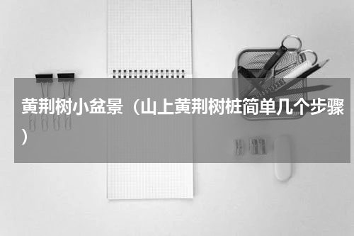 黄荆树小盆景（山上黄荆树桩简单几个步骤）