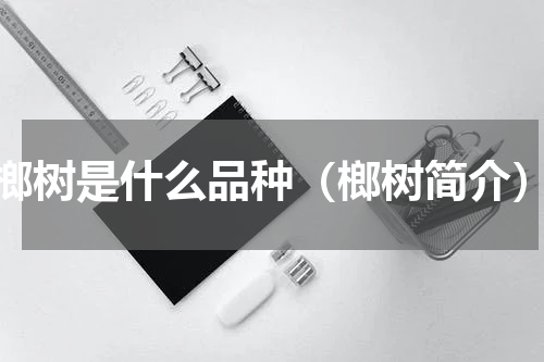 榔树是什么品种（榔树简介）