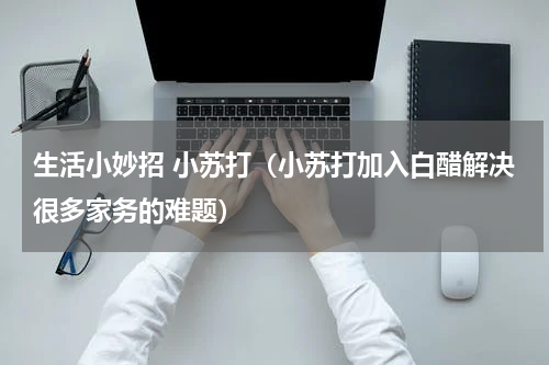 生活小妙招 小苏打（小苏打加入白醋解决很多家务的难题）