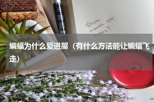 蝙蝠为什么爱进屋（有什么方法能让蝙蝠飞走）