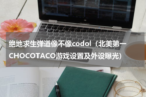 绝地求生弹道像不像codol（北美第一CHOCOTACO游戏设置及外设曝光）