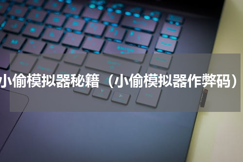 小偷模拟器秘籍（小偷模拟器作弊码）