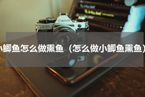 小鲫鱼怎么做熏鱼（怎么做小鲫鱼熏鱼）