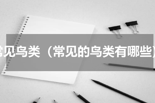 常见鸟类（常见的鸟类有哪些）