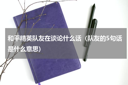 和平精英队友在谈论什么话（队友的5句话是什么意思）