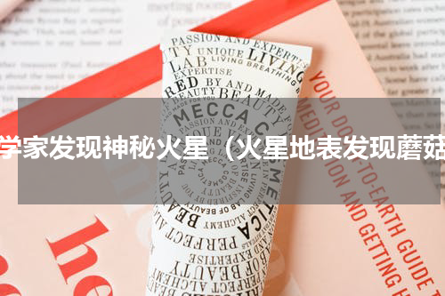 科学家发现神秘火星（火星地表发现蘑菇）