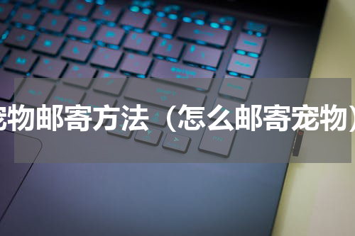 宠物邮寄方法（怎么邮寄宠物）