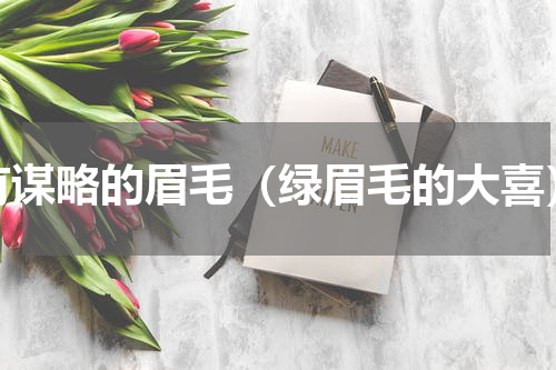 有谋略的眉毛（绿眉毛的大喜）