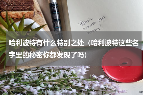 哈利波特有什么特别之处（哈利波特这些名字里的秘密你都发现了吗）