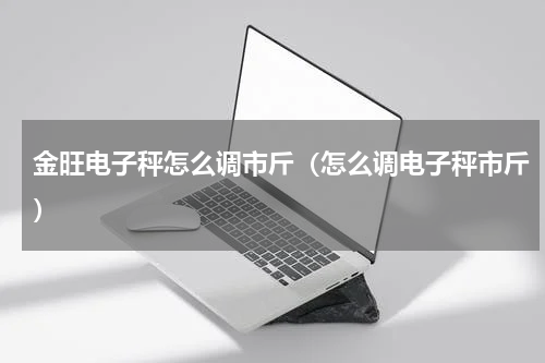金旺电子秤怎么调市斤（怎么调电子秤市斤）
