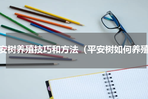 平安树养殖技巧和方法（平安树如何养殖）