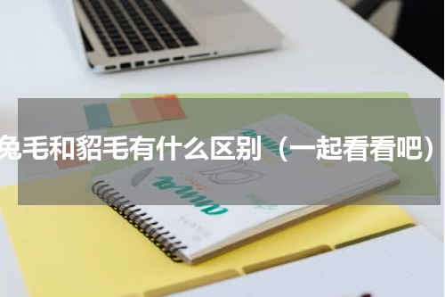 兔毛和貂毛有什么区别（一起看看吧）