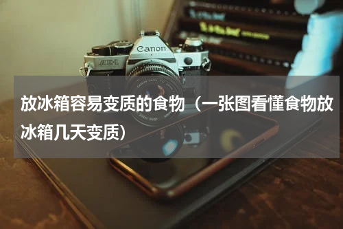 放冰箱容易变质的食物（一张图看懂食物放冰箱几天变质）