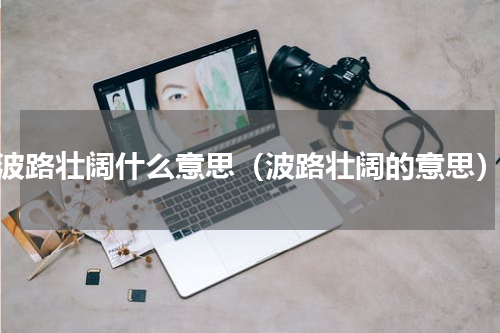 波路壮阔什么意思（波路壮阔的意思）