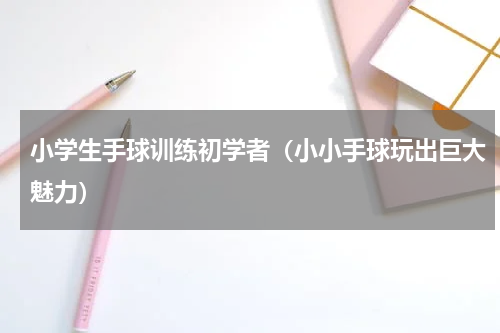 小学生手球训练初学者（小小手球玩出巨大魅力）