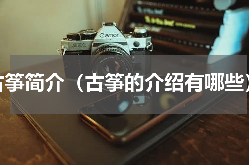 古筝简介（古筝的介绍有哪些）