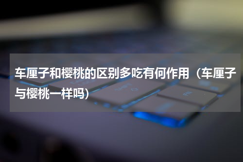 车厘子和樱桃的区别多吃有何作用（车厘子与樱桃一样吗）