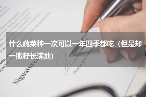 什么蔬菜种一次可以一年四季都吃（但是却一撒籽长满地）