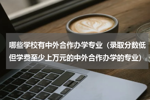 哪些学校有中外合作办学专业（录取分数低但学费至少上万元的中外合作办学的专业）