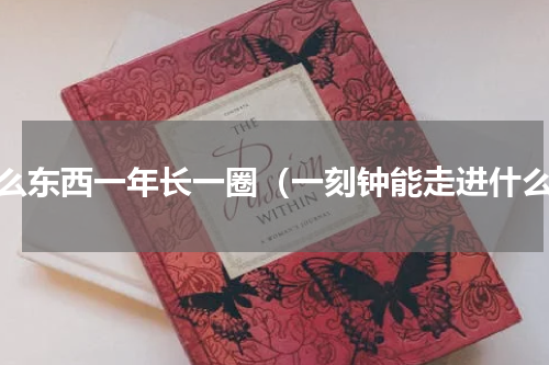 什么东西一年长一圈（一刻钟能走进什么）