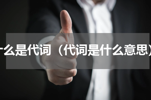 什么是代词（代词是什么意思）