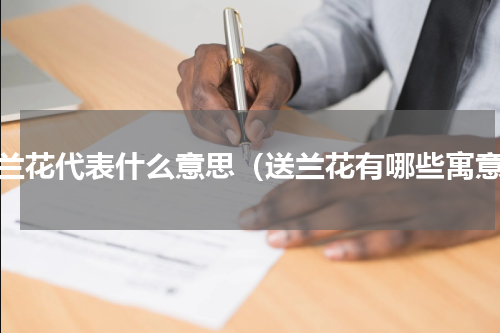 送兰花代表什么意思（送兰花有哪些寓意）