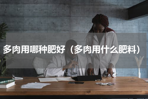 多肉用哪种肥好（多肉用什么肥料）