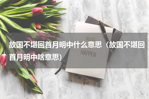 故国不堪回首月明中什么意思（故国不堪回首月明中啥意思）