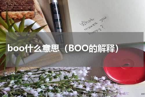 boo什么意思（BOO的解释）