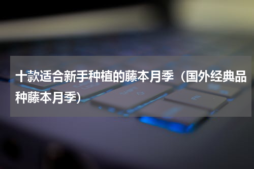 十款适合新手种植的藤本月季（国外经典品种藤本月季）