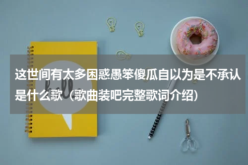这世间有太多困惑愚笨傻瓜自以为是不承认是什么歌（歌曲装吧完整歌词介绍）