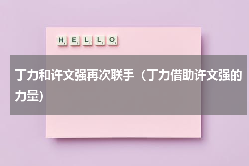丁力和许文强再次联手（丁力借助许文强的力量）