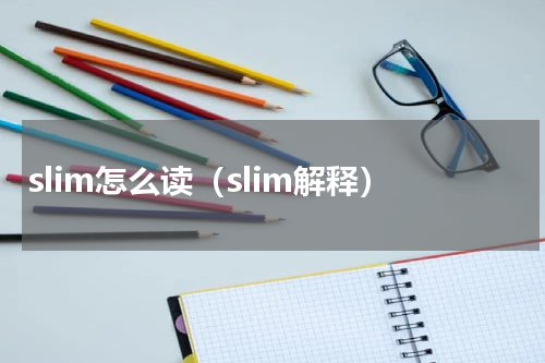 slim怎么读（slim解释）